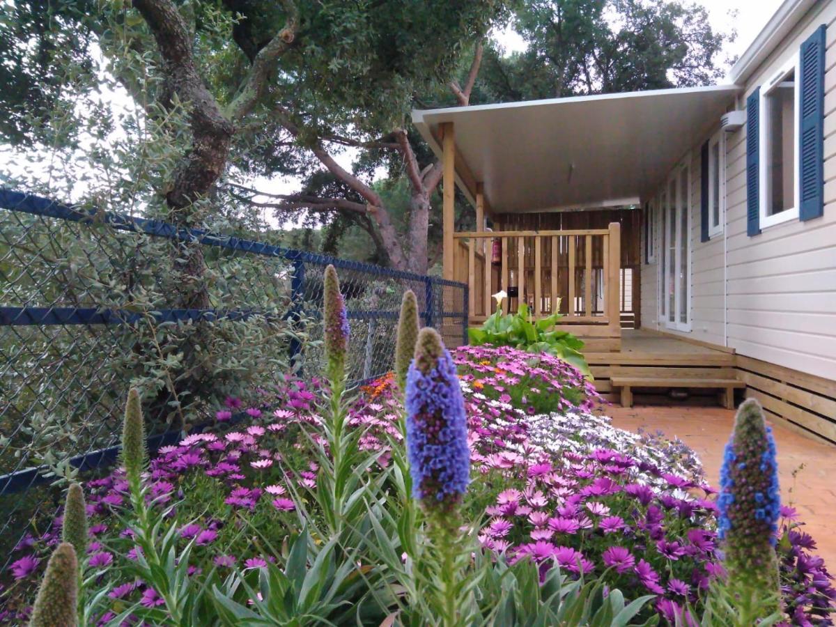 Camping Roca Grossa Calella Luaran gambar