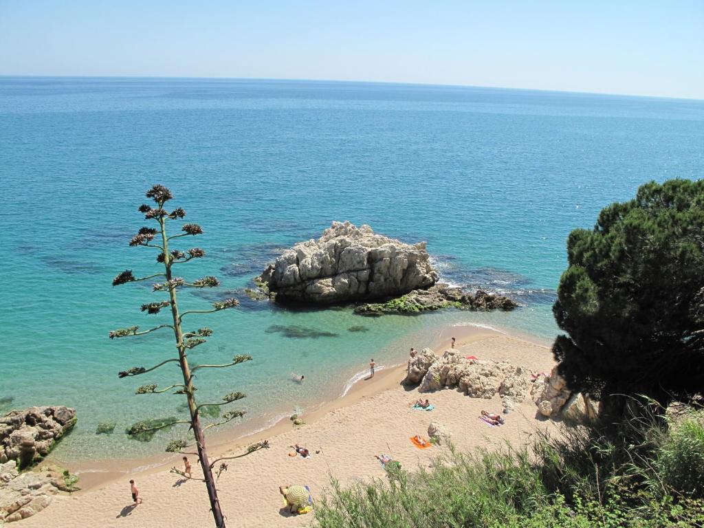 Camping Roca Grossa Calella Luaran gambar